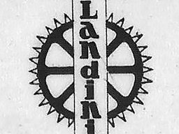 Book Landini 55